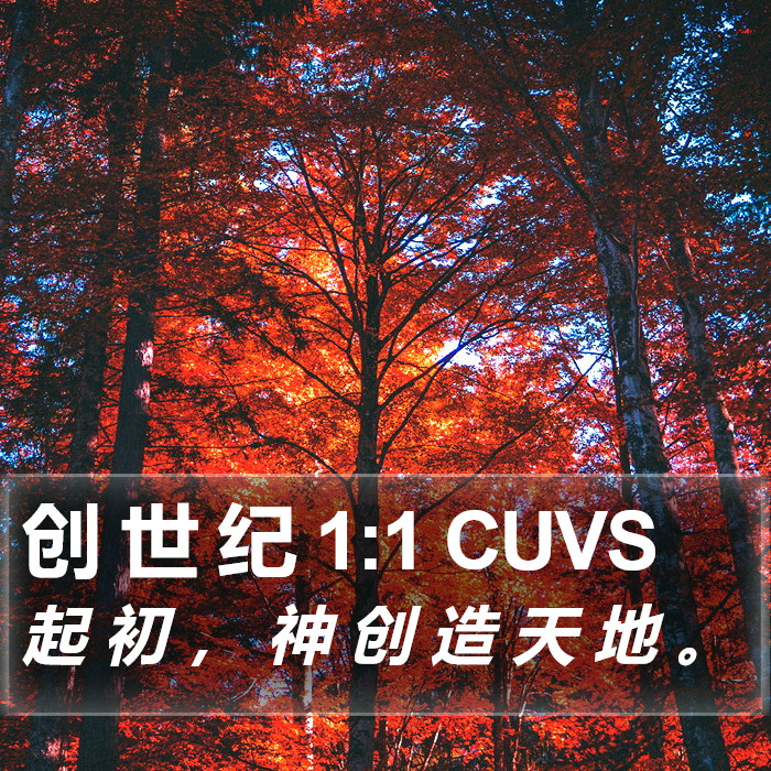 创 世 纪 1:1 CUVS Bible Study