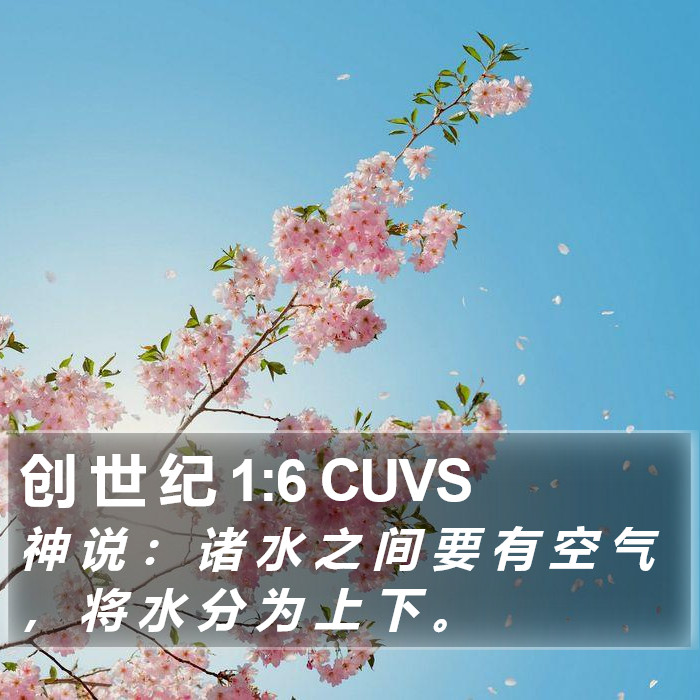 创 世 纪 1:6 CUVS Bible Study