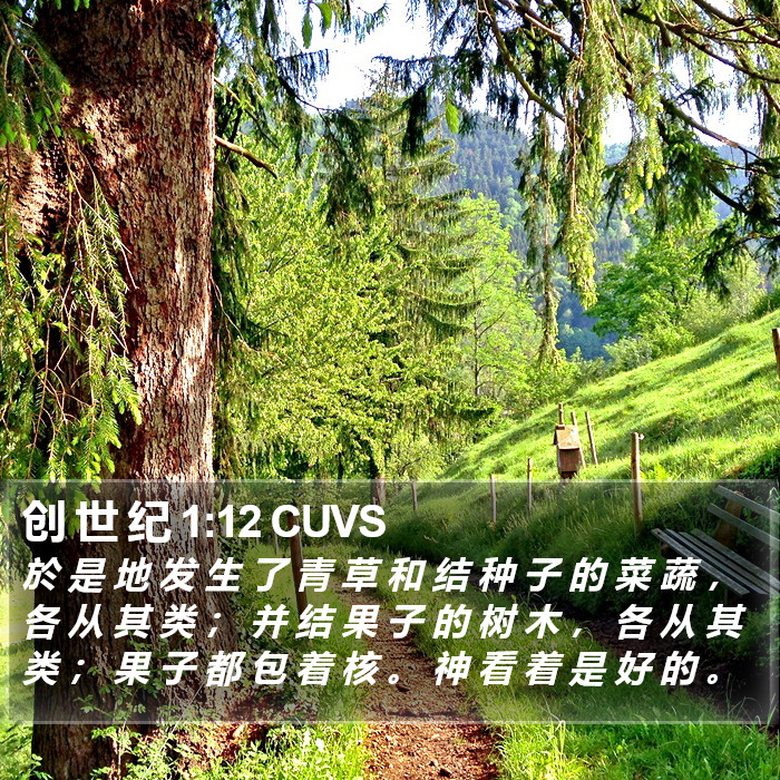 创 世 纪 1:12 CUVS Bible Study