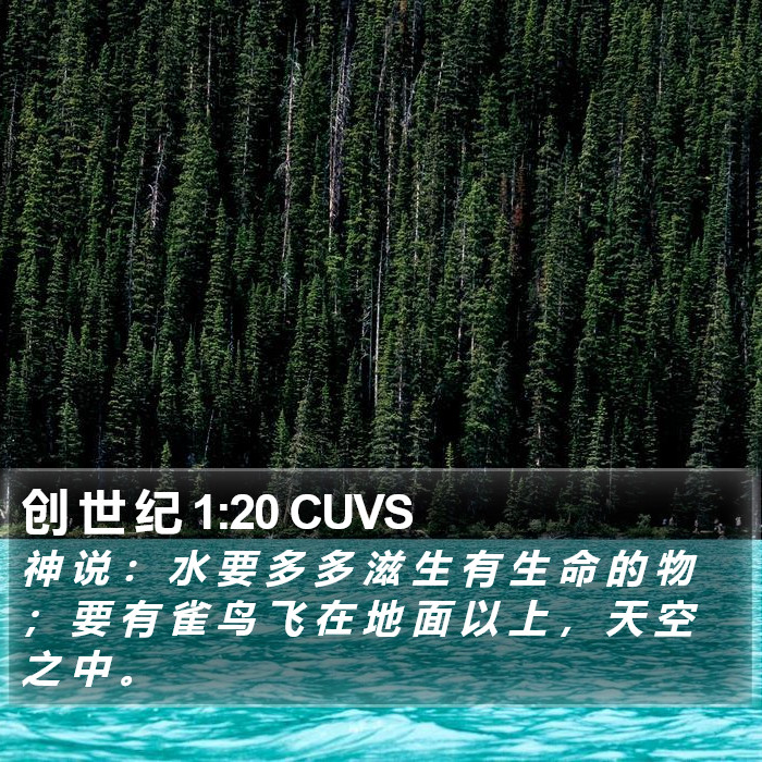 创 世 纪 1:20 CUVS Bible Study