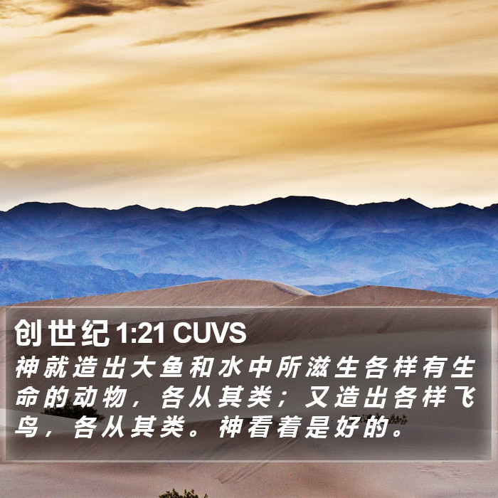 创 世 纪 1:21 CUVS Bible Study