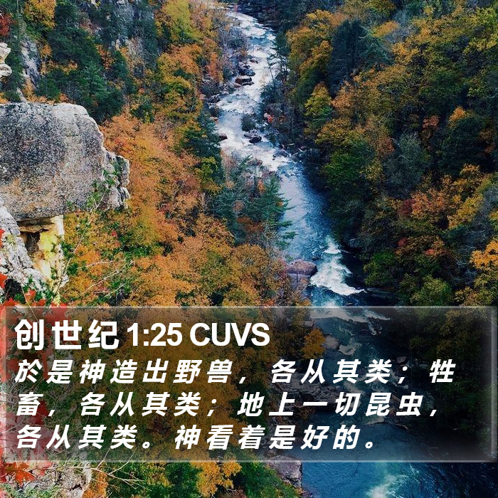 创 世 纪 1:25 CUVS Bible Study