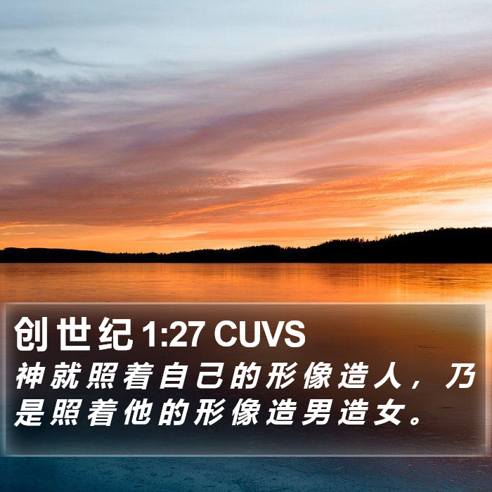 创 世 纪 1:27 CUVS Bible Study