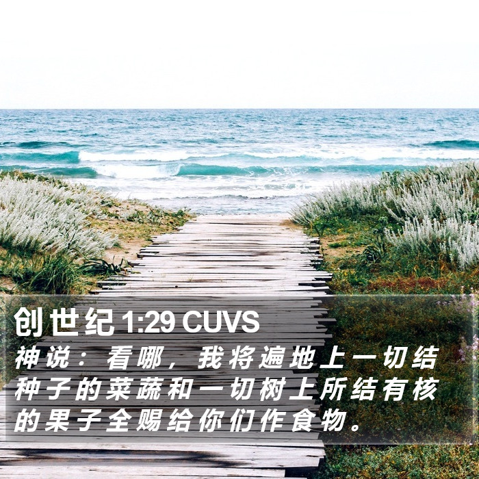 创 世 纪 1:29 CUVS Bible Study