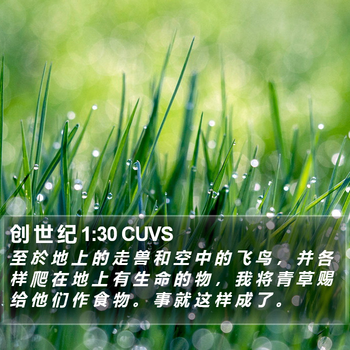 创 世 纪 1:30 CUVS Bible Study