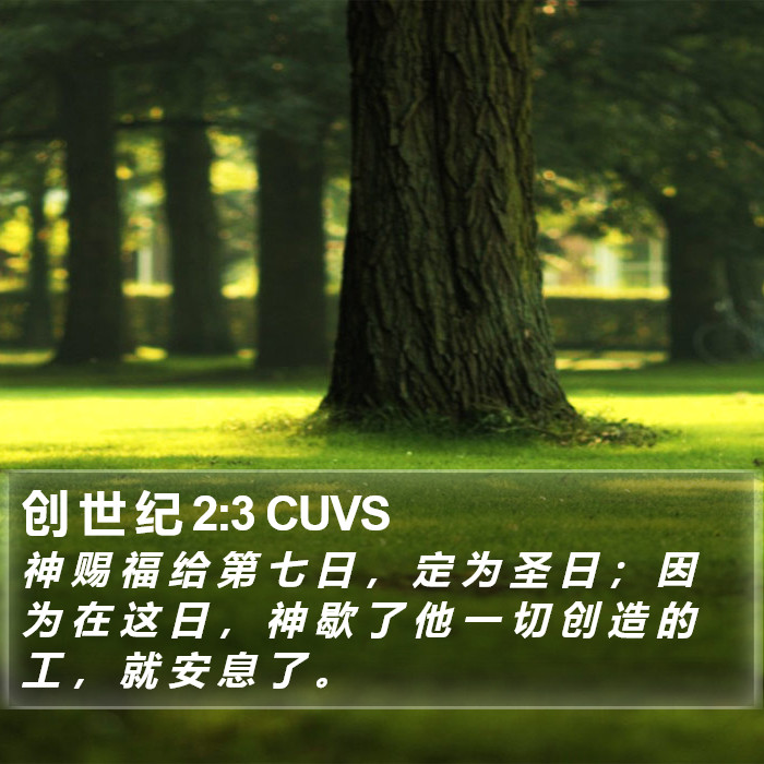 创 世 纪 2:3 CUVS Bible Study