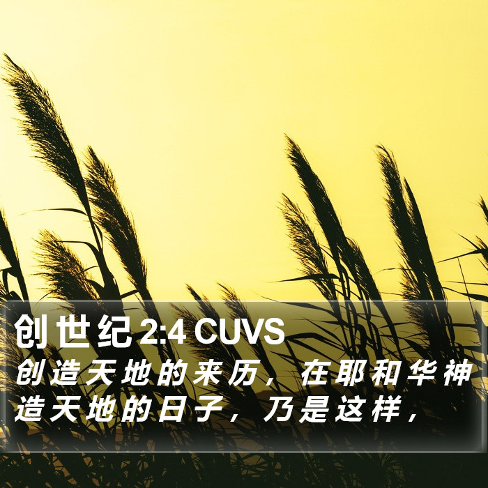 创 世 纪 2:4 CUVS Bible Study