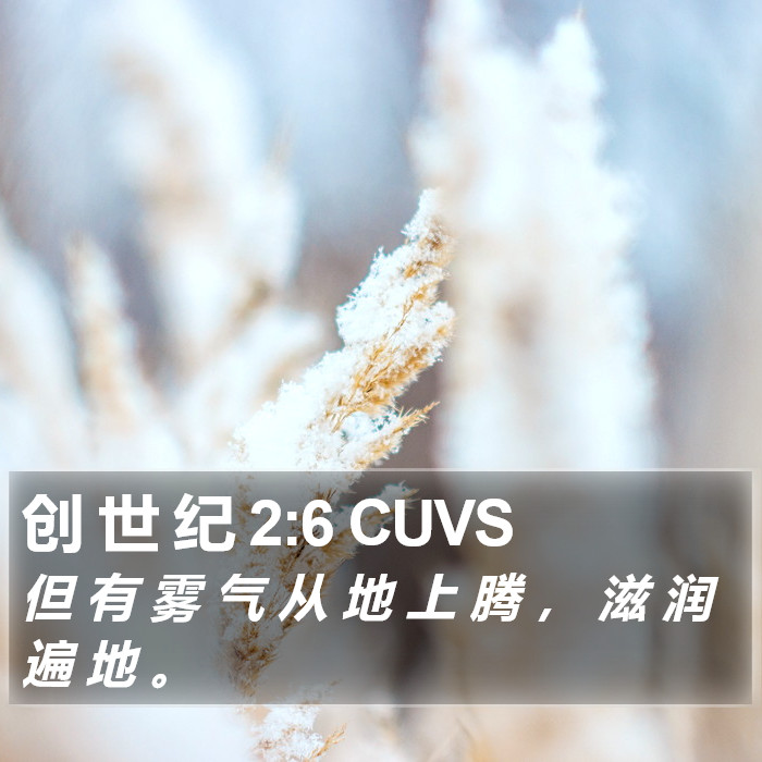 创 世 纪 2:6 CUVS Bible Study