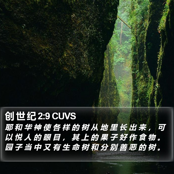 创 世 纪 2:9 CUVS Bible Study