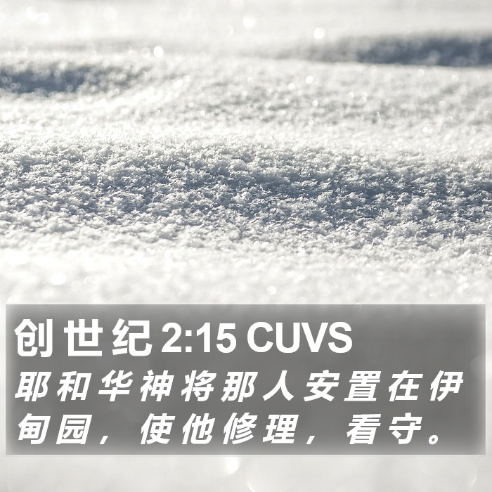 创 世 纪 2:15 CUVS Bible Study