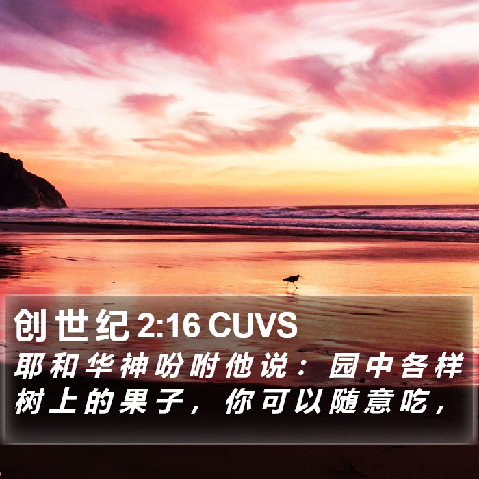 创 世 纪 2:16 CUVS Bible Study