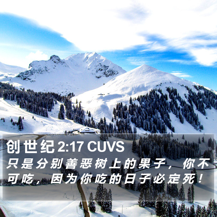 创 世 纪 2:17 CUVS Bible Study