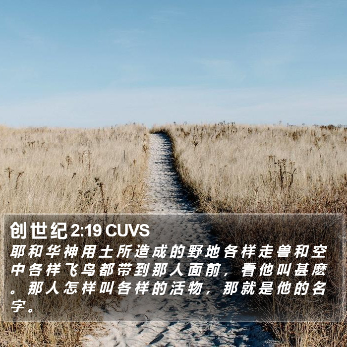 创 世 纪 2:19 CUVS Bible Study