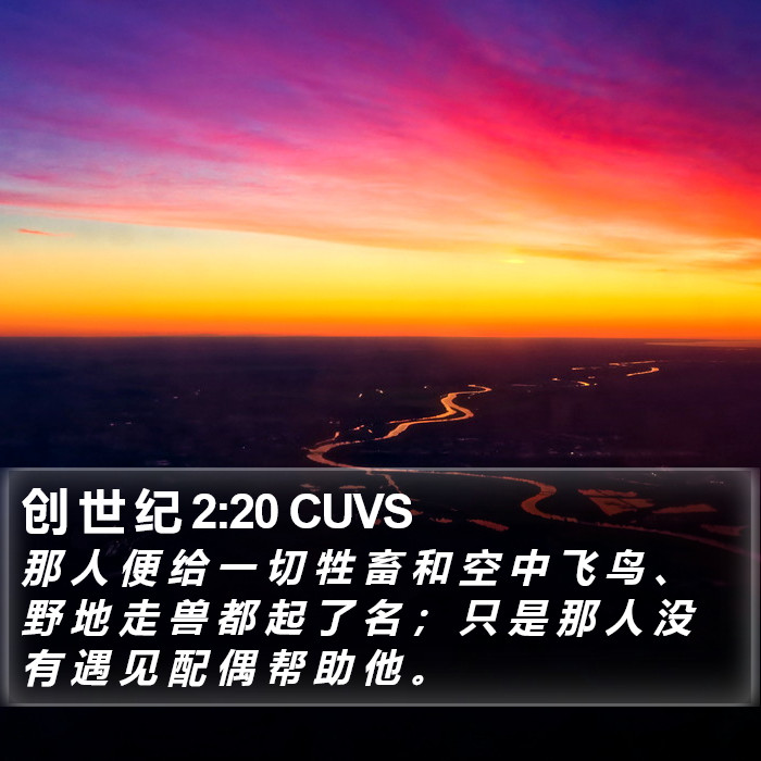 创 世 纪 2:20 CUVS Bible Study