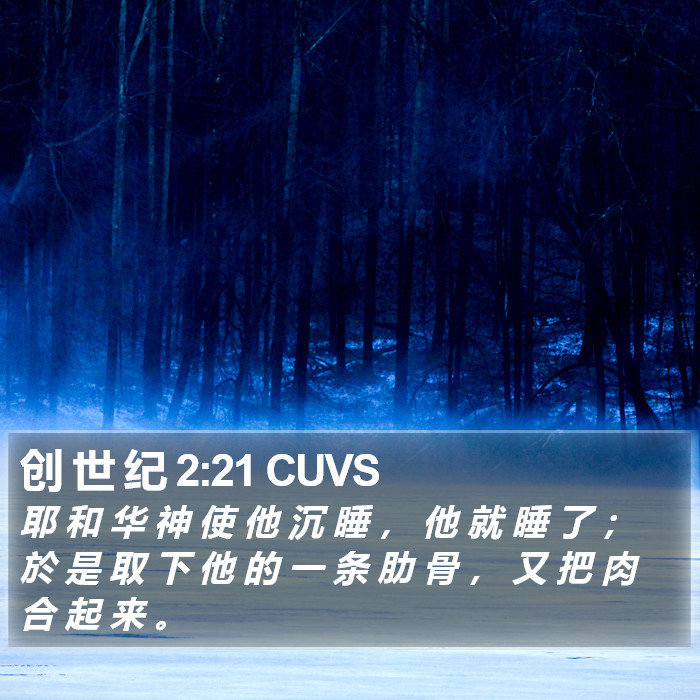 创 世 纪 2:21 CUVS Bible Study