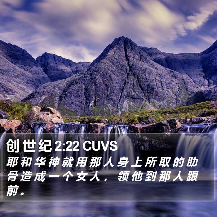 创 世 纪 2:22 CUVS Bible Study