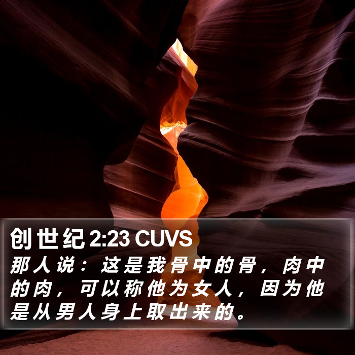 创 世 纪 2:23 CUVS Bible Study