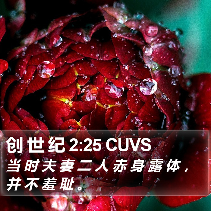 创 世 纪 2:25 CUVS Bible Study