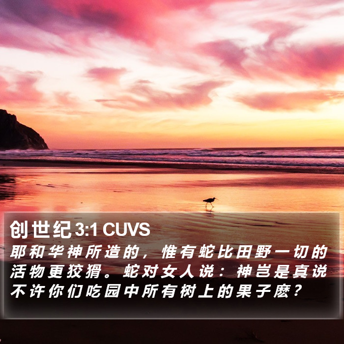 创 世 纪 3:1 CUVS Bible Study