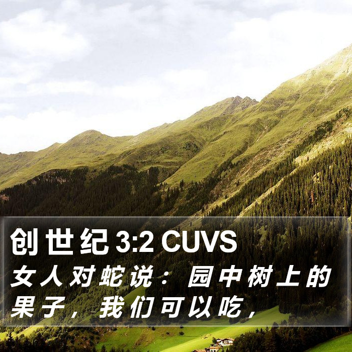 创 世 纪 3:2 CUVS Bible Study