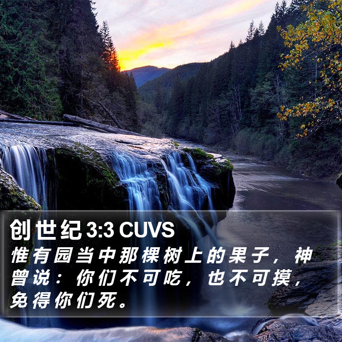 创 世 纪 3:3 CUVS Bible Study