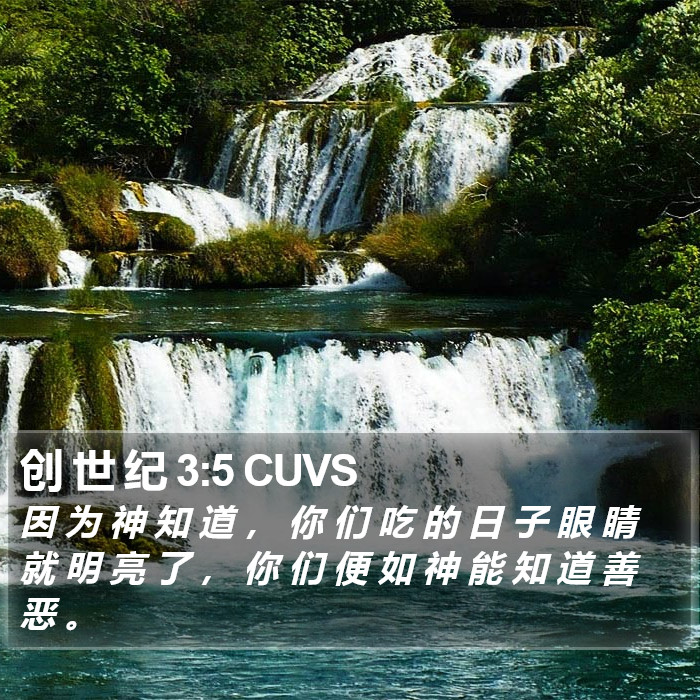 创 世 纪 3:5 CUVS Bible Study