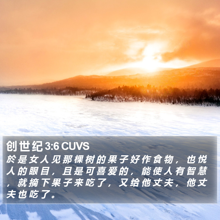 创 世 纪 3:6 CUVS Bible Study