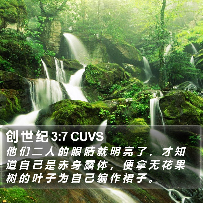 创 世 纪 3:7 CUVS Bible Study