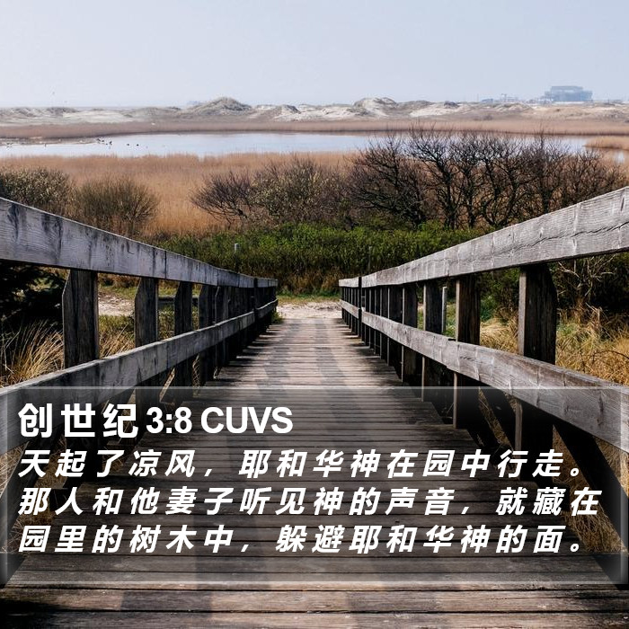 创 世 纪 3:8 CUVS Bible Study