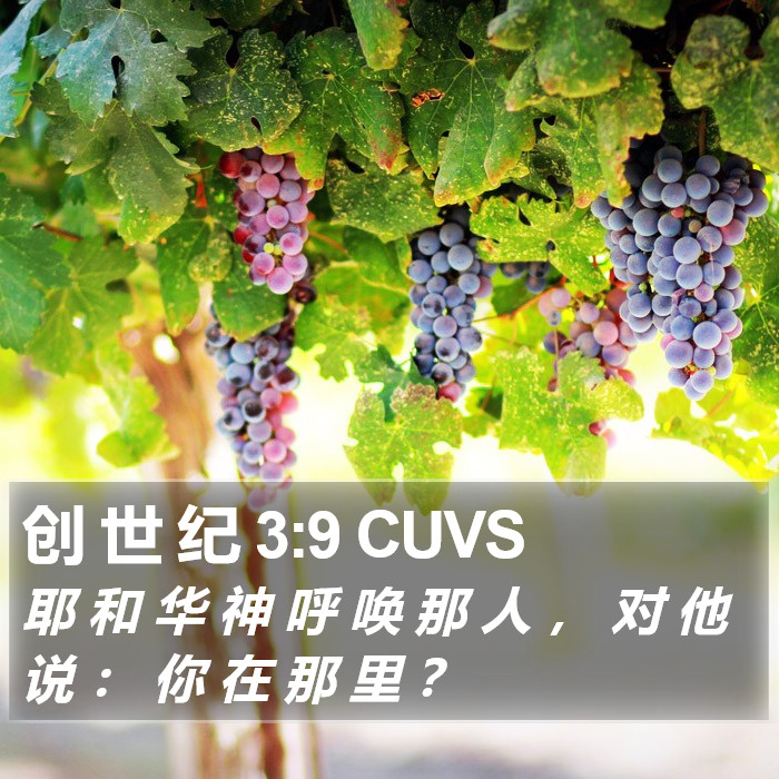 创 世 纪 3:9 CUVS Bible Study