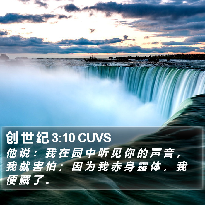 创 世 纪 3:10 CUVS Bible Study