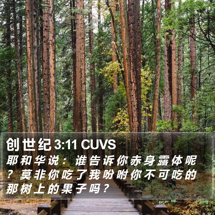 创 世 纪 3:11 CUVS Bible Study