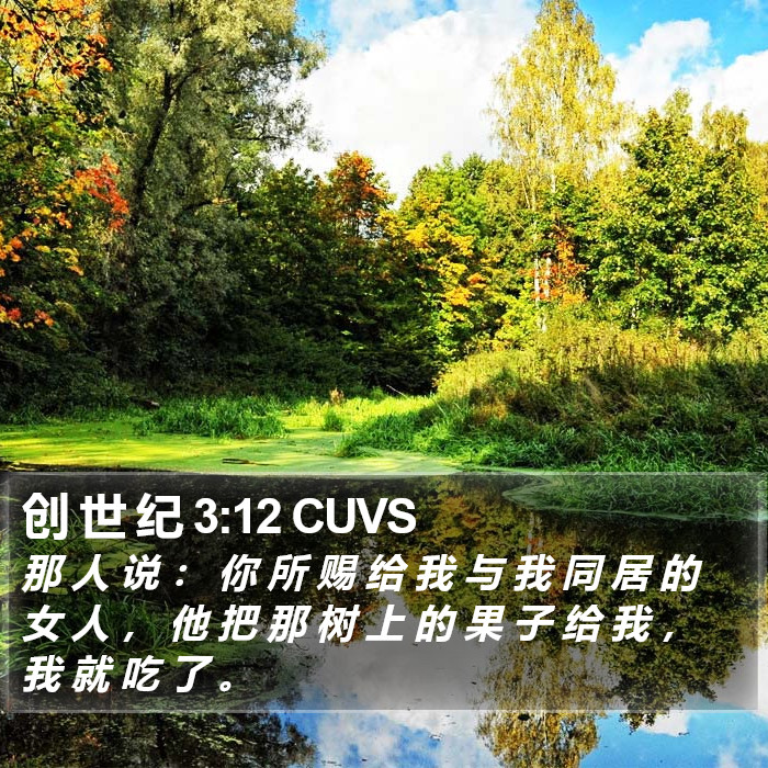 创 世 纪 3:12 CUVS Bible Study