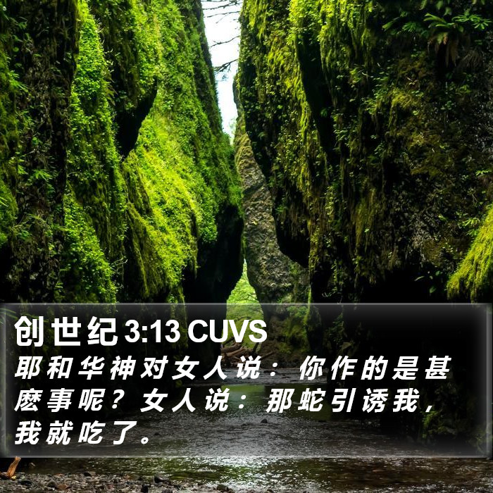 创 世 纪 3:13 CUVS Bible Study