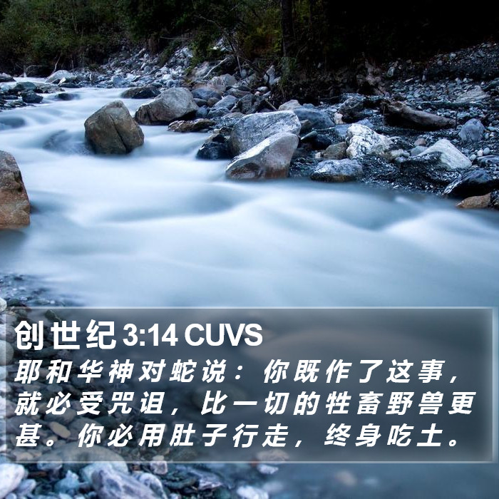 创 世 纪 3:14 CUVS Bible Study