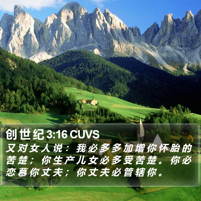 创 世 纪 3:16 CUVS Bible Study