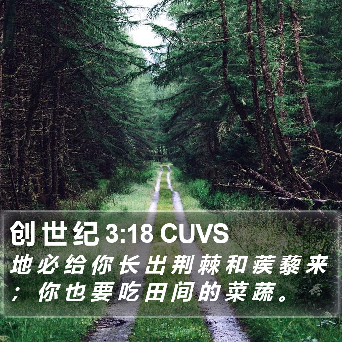 创 世 纪 3:18 CUVS Bible Study