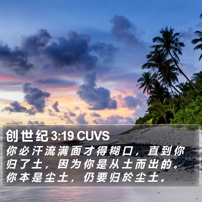 创 世 纪 3:19 CUVS Bible Study