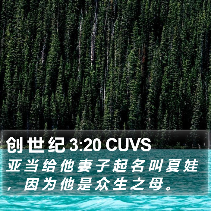 创 世 纪 3:20 CUVS Bible Study