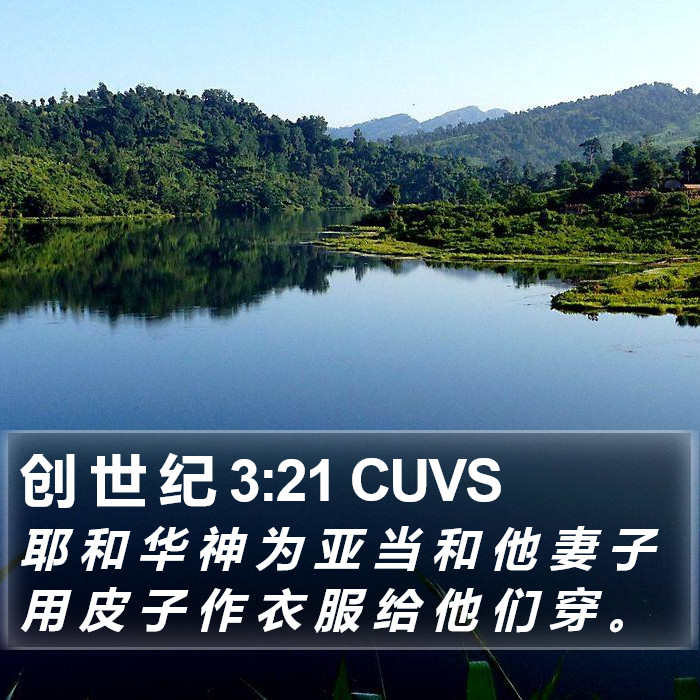 创 世 纪 3:21 CUVS Bible Study