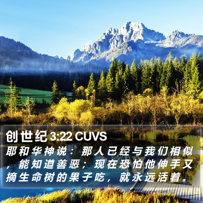 创 世 纪 3:22 CUVS Bible Study