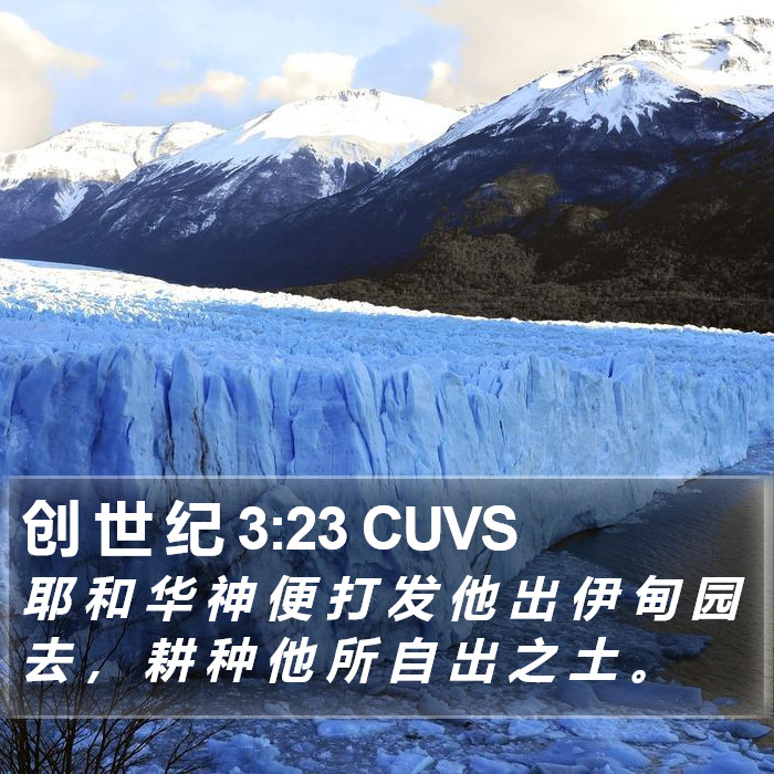 创 世 纪 3:23 CUVS Bible Study