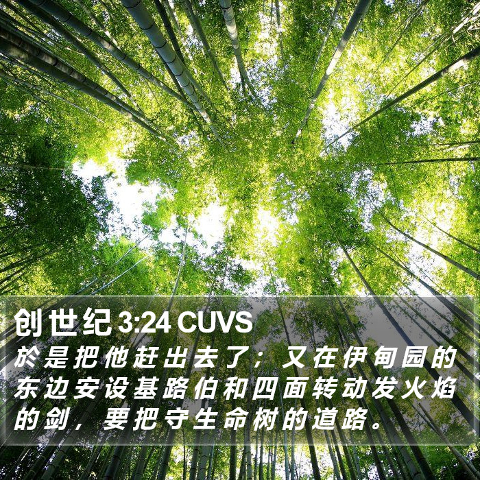 创 世 纪 3:24 CUVS Bible Study