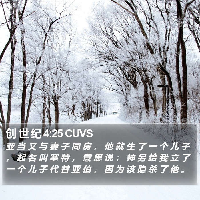 创 世 纪 4:25 CUVS Bible Study