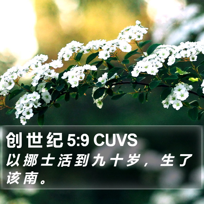 创 世 纪 5:9 CUVS Bible Study