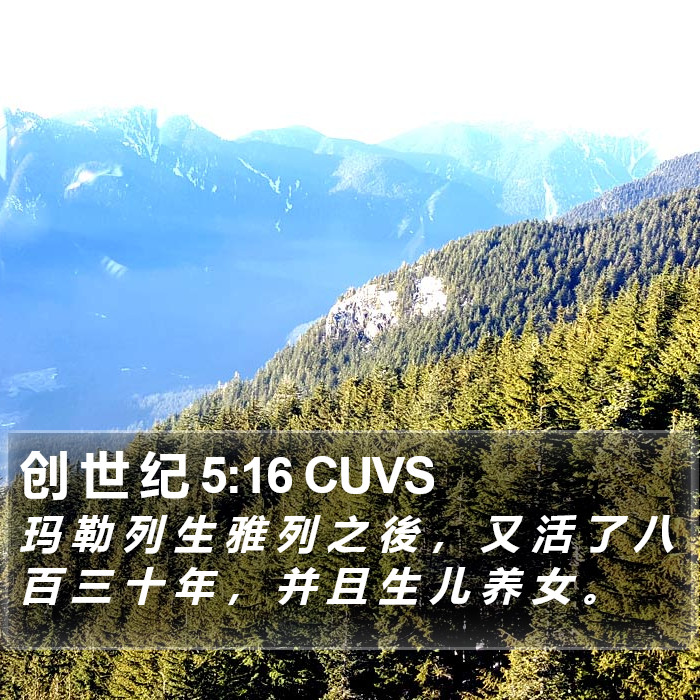创 世 纪 5:16 CUVS Bible Study