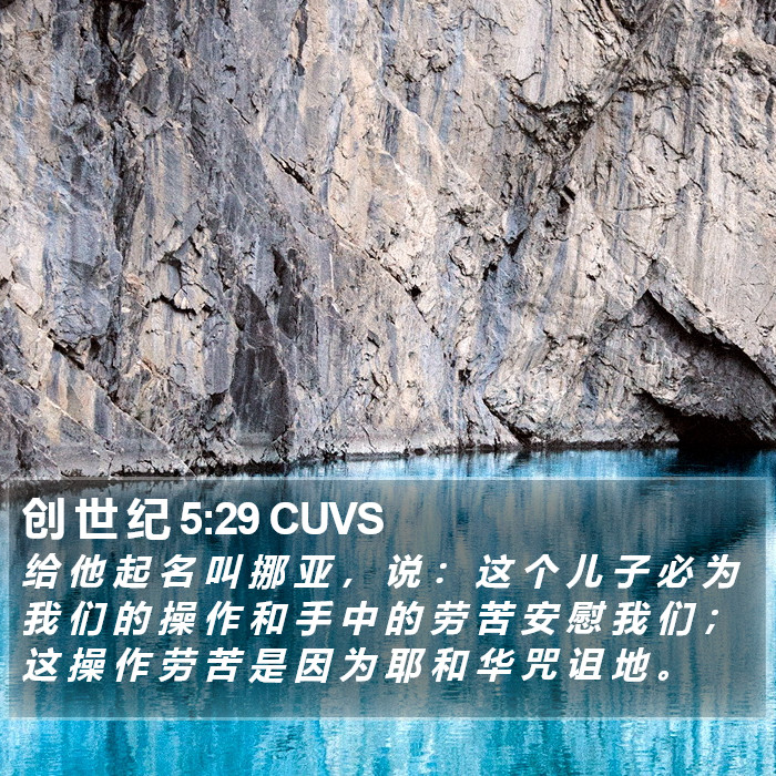 创 世 纪 5:29 CUVS Bible Study