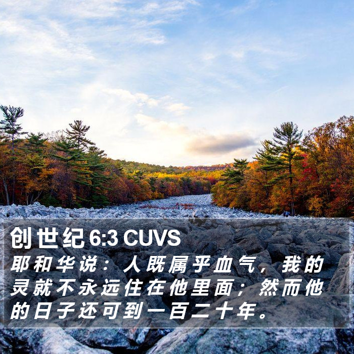 创 世 纪 6:3 CUVS Bible Study