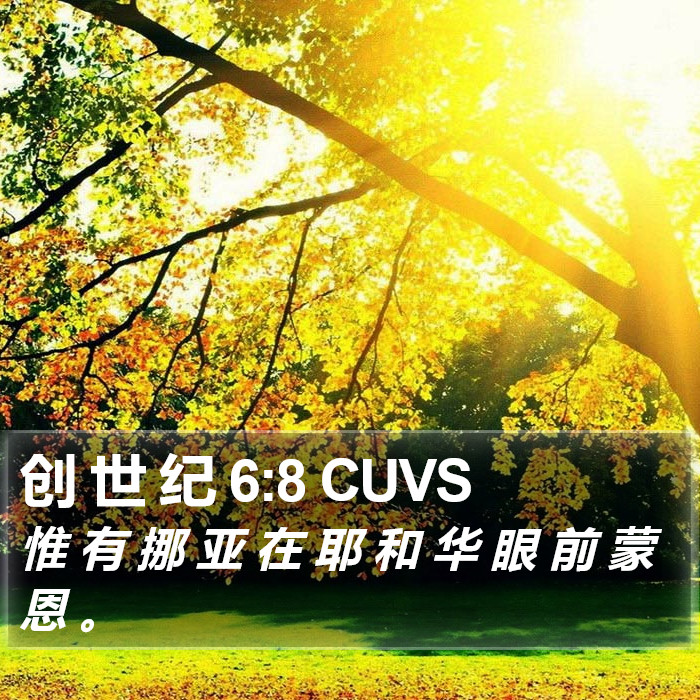 创 世 纪 6:8 CUVS Bible Study