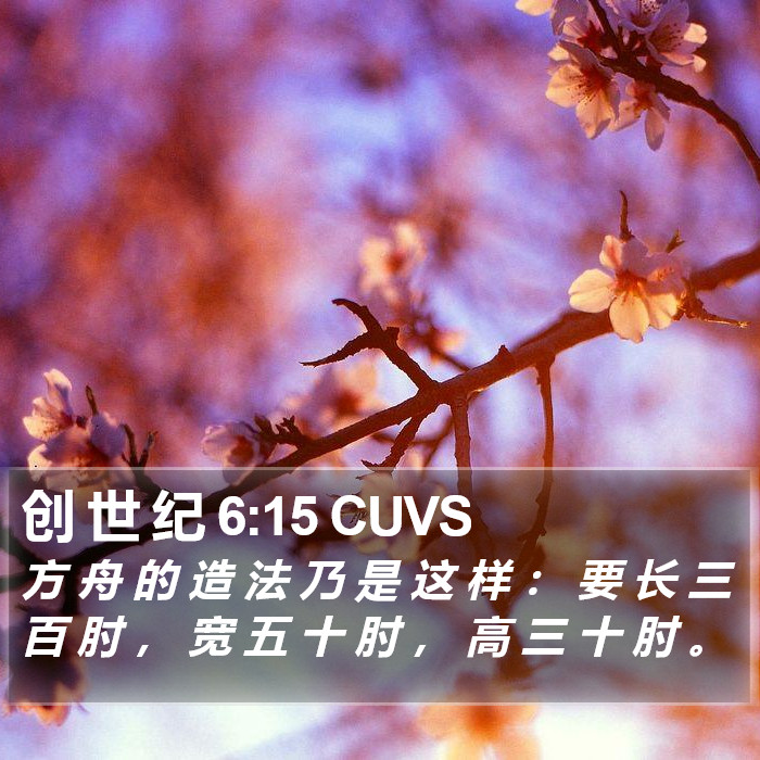 创 世 纪 6:15 CUVS Bible Study